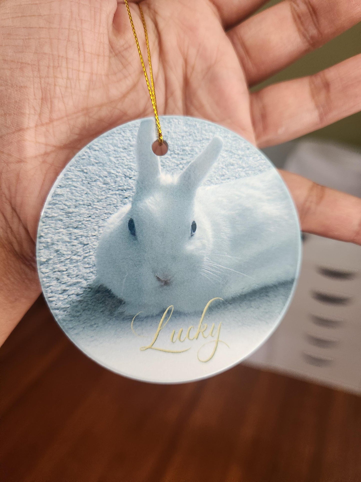 Custom Pet Ceramic Ornament - 3.5 Inch Circle