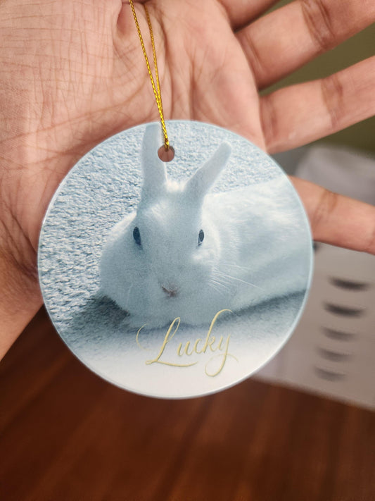 Custom Pet Ceramic Ornament - 3.5 Inch Circle